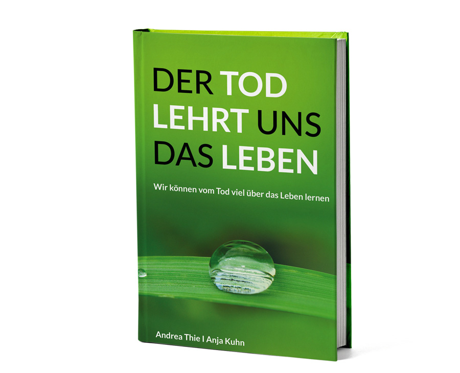 Buch Der Tod lehrt uns das Leben